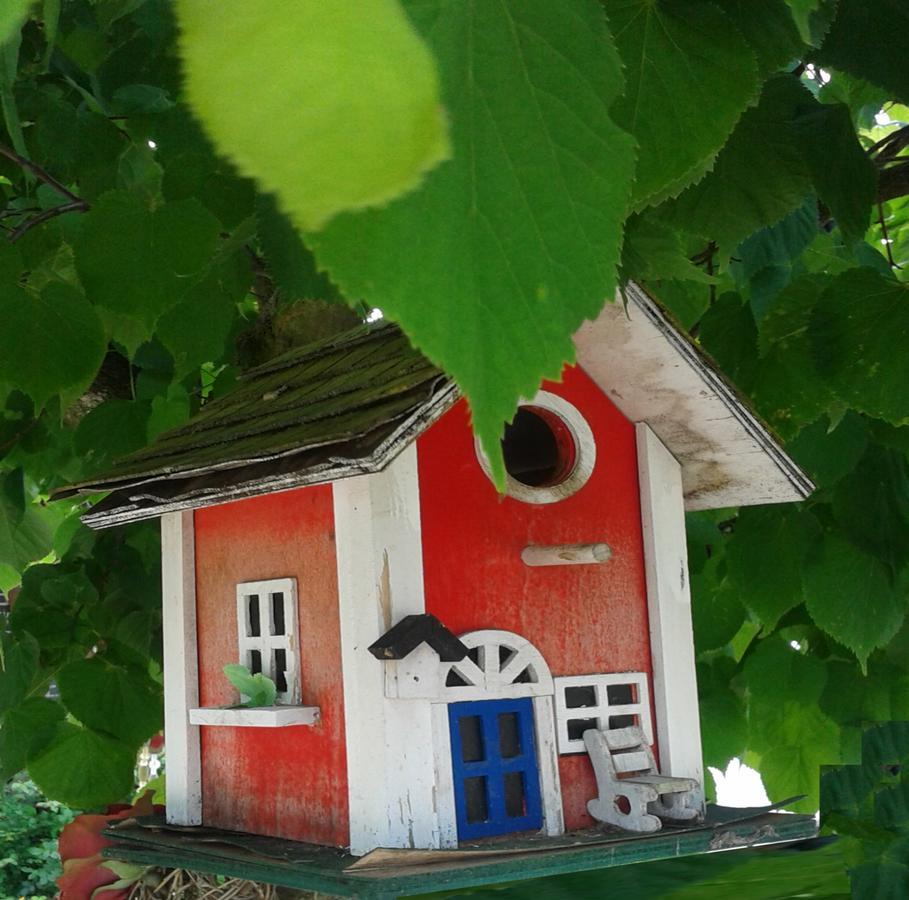 Ferienwohnung Holl Worms Eksteriør bilde